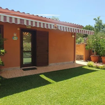 Palm Rei House