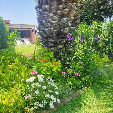 Palm Rei House